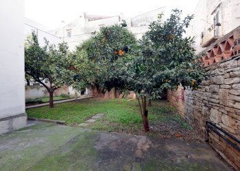 Giardino - Casa indipendente Via Ugo Foscolo
 
28/30/32, Terlizzi - foto 24