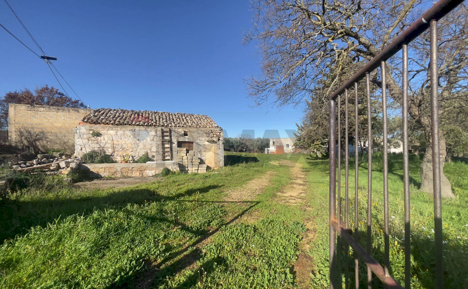 Giardino - Farm Santeramo in Colle - photo 2