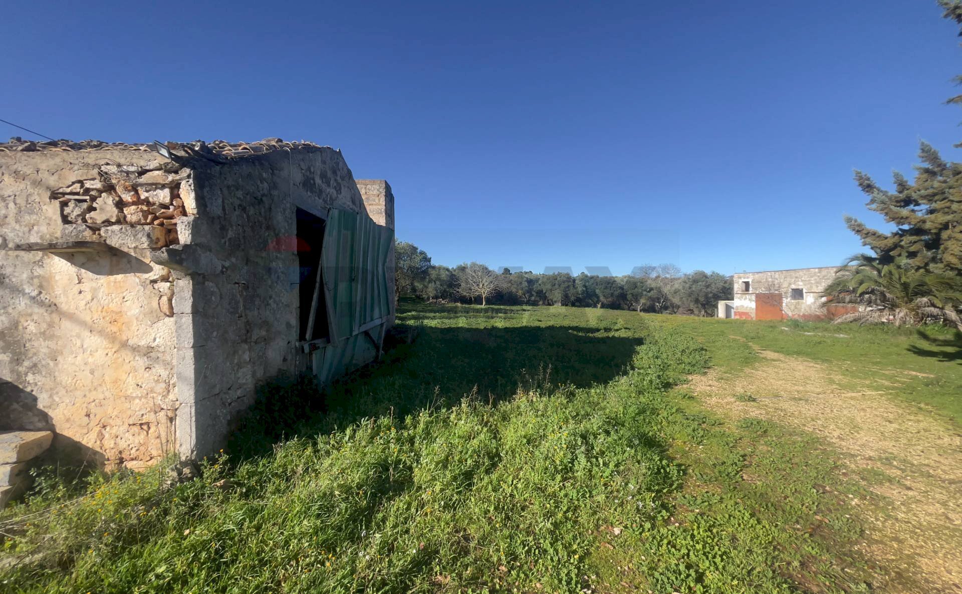 Giardino - Farm Santeramo in Colle - photo 3