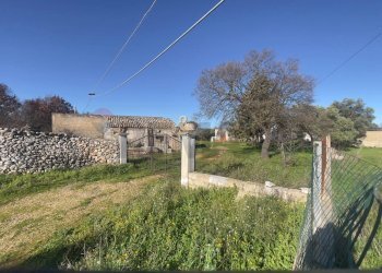 Non correlato - Azienda agricola Santeramo in Colle - foto 1