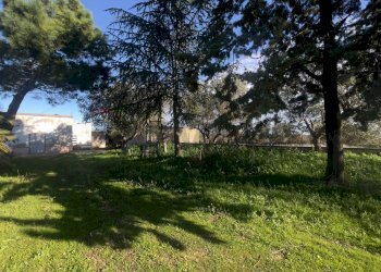 Giardino - Azienda agricola Santeramo in Colle - foto 4