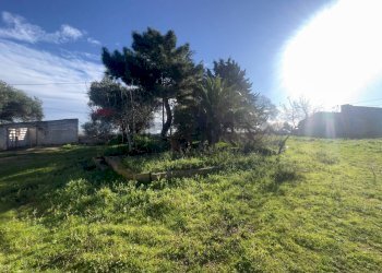 Giardino - Azienda agricola Santeramo in Colle - foto 6
