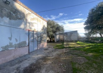 Casa all\'aperto - Azienda agricola Santeramo in Colle - foto 9