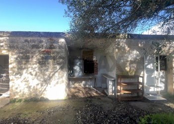 Casa all\'aperto - Azienda agricola Santeramo in Colle - foto 10