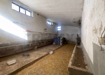 Stanza vuota - Azienda agricola Santeramo in Colle - foto 19
