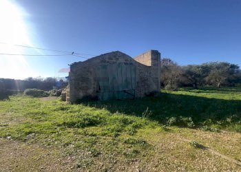 Vista delle montagne - Azienda agricola Santeramo in Colle - foto 21
