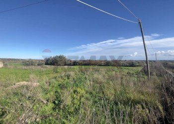 Vista delle montagne - Azienda agricola Santeramo in Colle - foto 23
