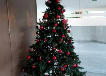 Dettagli - Bilocale Via Emilio Treves
 
3, Milano - foto 16