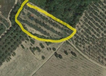 Posizione della mappa - Terreno agricolo via valleparo, Torrevecchia Teatina - foto 1