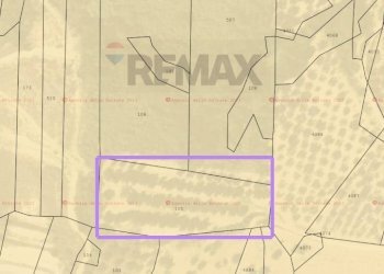 Pianta 2D - Terreno agricolo via valleparo, Torrevecchia Teatina - foto 3