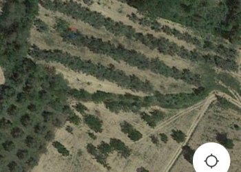 Dettagli - Terreno agricolo via valleparo, Torrevecchia Teatina - foto 5