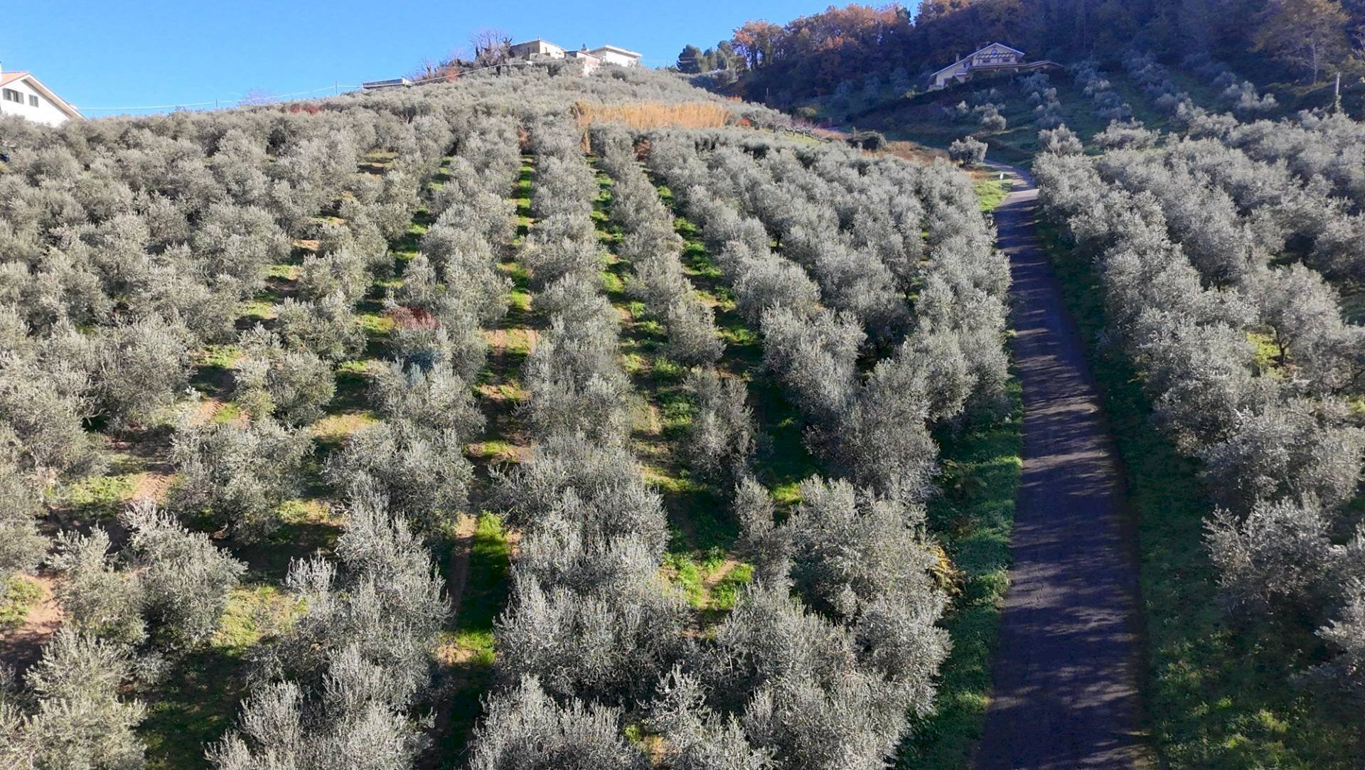 Vista delle montagne - Terreno agricolo Strada Belvedere, Chieti - foto 1