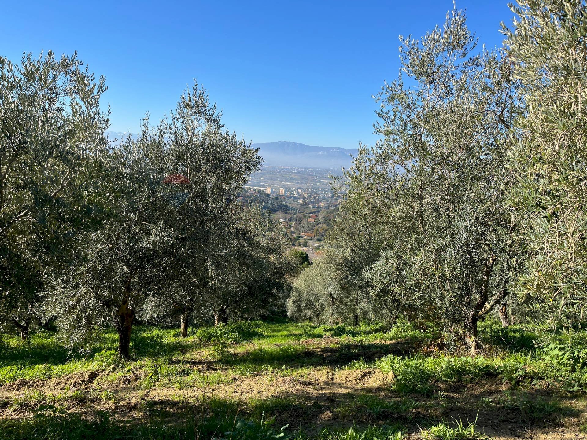 Vista delle montagne - Terreno agricolo Strada Belvedere, Chieti - foto 3