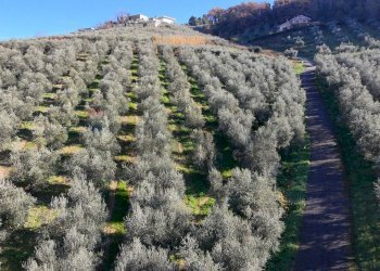 Vista delle montagne - Terreno agricolo Strada Belvedere, Chieti - foto 1