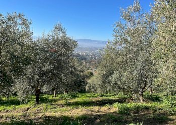 Vista delle montagne - Terreno agricolo Strada Belvedere, Chieti - foto 3