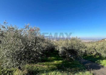 Non correlato - Terreno agricolo Strada Belvedere, Chieti - foto 14