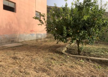 Giardino - Terreno agricolo Strada Belvedere, Chieti - foto 8