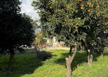 Giardino - Villa Croce
 
20, Francolise - foto 6