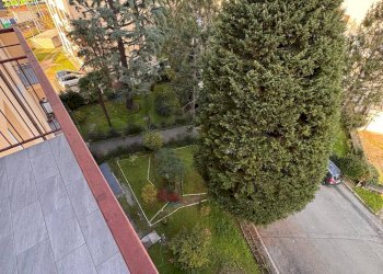 Giardino - Appartamento strada privata dell'anza
 
5, Novara - foto 24