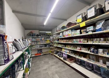 Dispensa di stoccaggio - Locale Commerciale Corso Calatafimi
235, Palermo - foto 12