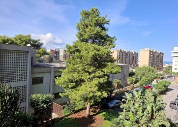 Edificio all\'aperto - Terreno non edificabile VIA SACCO E VANZETTI
 
13, Palermo - foto 15