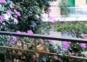 13.jpeg - Monolocale strada San Martino 8, Sanremo - foto 15