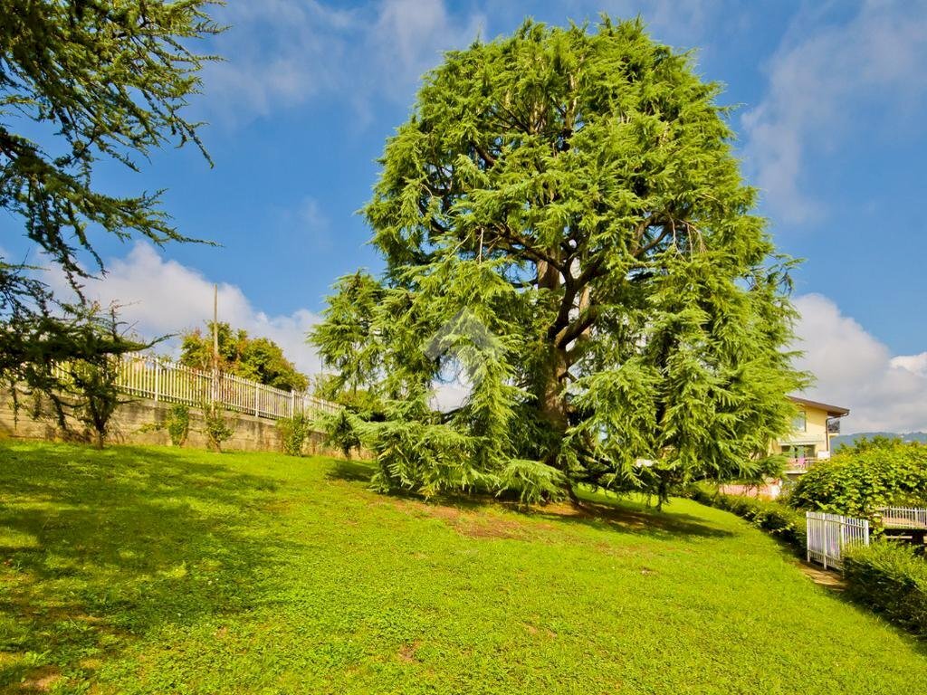 Villa Strada valle sauglio, Pecetto Torinese - foto 2