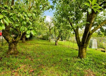 Villa Strada valle sauglio, Pecetto Torinese - foto 4