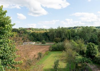 Giardino - Appartamento Via Migliarina
21, Terranuova Bracciolini - foto 22