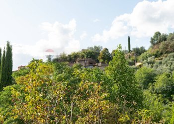 Giardino - Appartamento Via Migliarina
21, Terranuova Bracciolini - foto 23