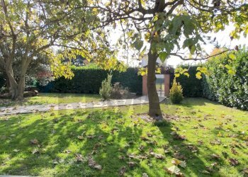 Giardino - Casa indipendente Bellinzago Novarese - foto 7