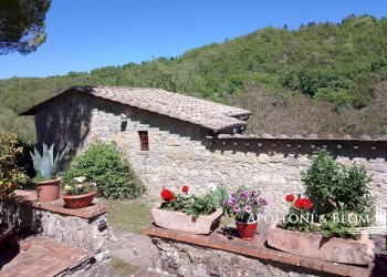 Rustico Via di Salivolpi, 22, Castellina in Chianti - foto 38