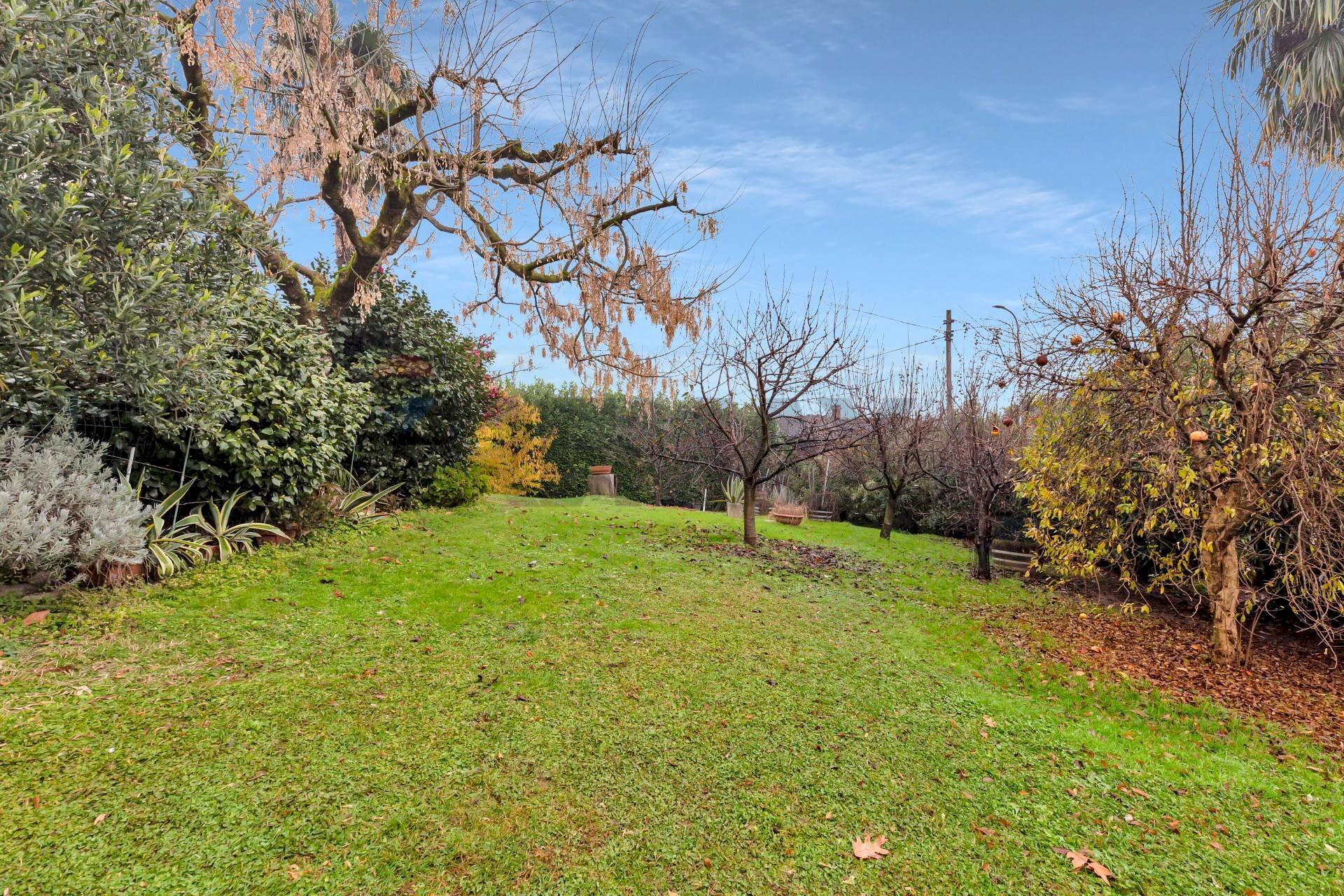 Giardino - Villa Via Mandresca
 
23, Inverigo - foto 3