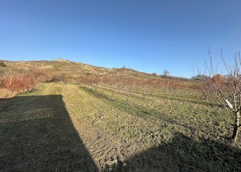 Terreno - Agricultural land via Montanara Nord, 15, Borgo Tossignano - photo 5