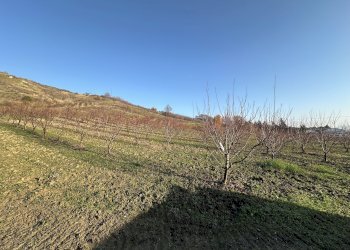 Terreno - Agricultural land via Montanara Nord, 15, Borgo Tossignano - photo 6