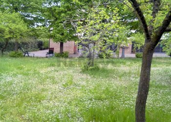 Porzione di casa Montale, Castelnuovo Rangone, Castelnuovo Rangone - foto 12