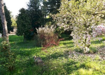 Porzione di casa Montale, Castelnuovo Rangone, Castelnuovo Rangone - foto 13