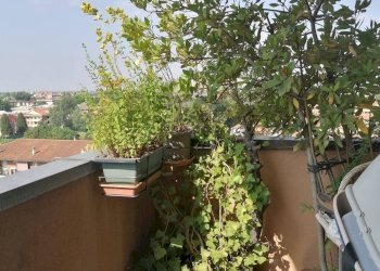 Balcone - Quadrilocale Via De Gasperi
 
22, Desio - foto 7