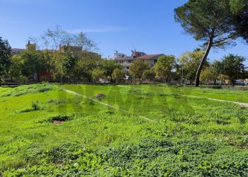 Giardino - Appartamento VIA FILIPPO PALADINI
 
7, Caltagirone - foto 13