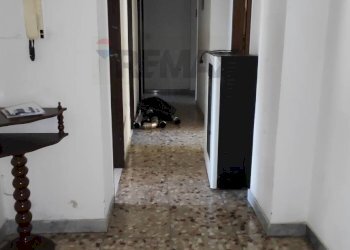 Hall / corridoio - Appartamento VIA FILIPPO PALADINI
 
7, Caltagirone - foto 19