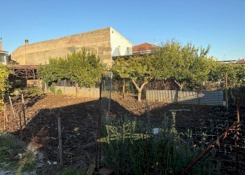 Giardino - Villa Località Starza contrada Santa Croce
 
Snc, Carinola - foto 16