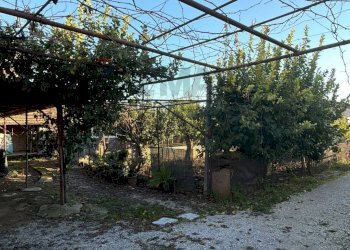 Giardino - Villa Località Starza contrada Santa Croce
 
Snc, Carinola - foto 20