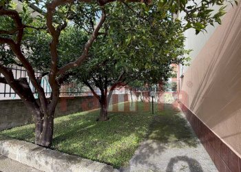 Foto 23 - Casa indipendente Avella - foto 23