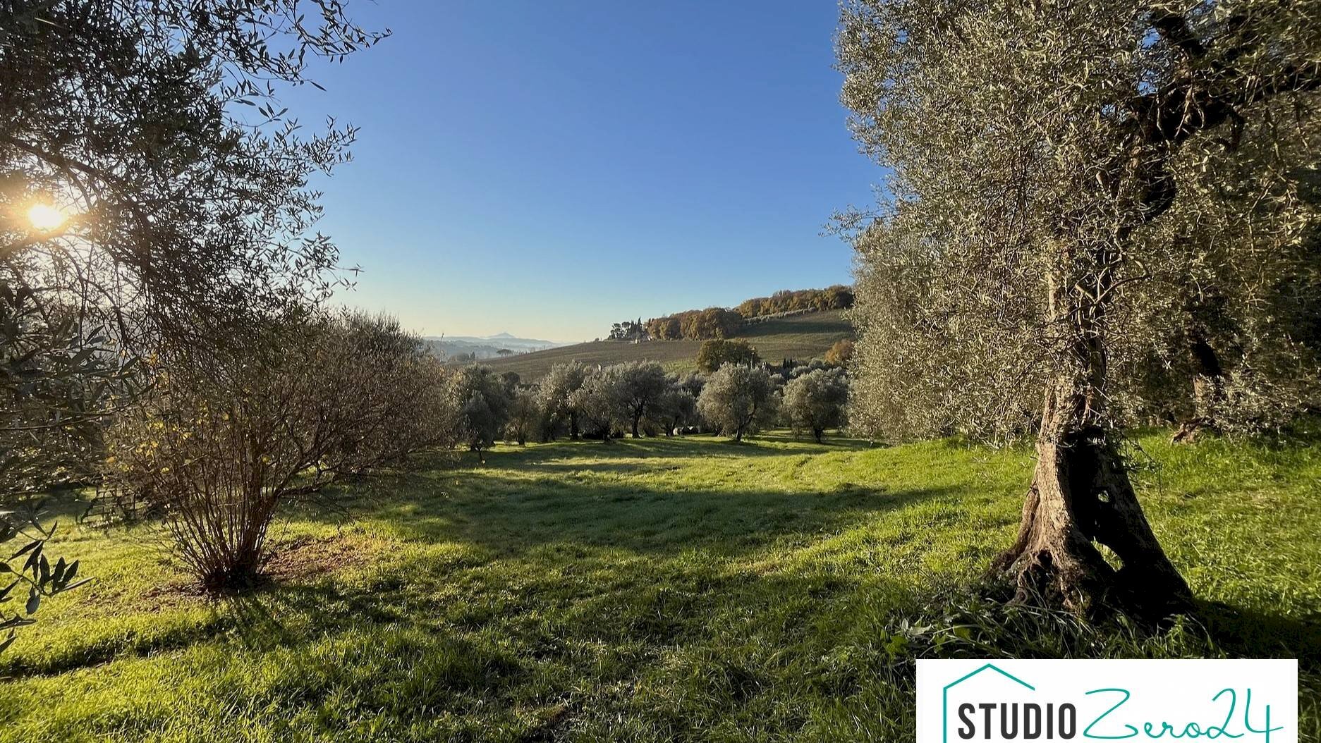 Foto 3 - Rustic rimembranze
 
22, Amelia - photo 3