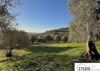 Foto 3 - Rustico rimembranze
 
22, Amelia - foto 3