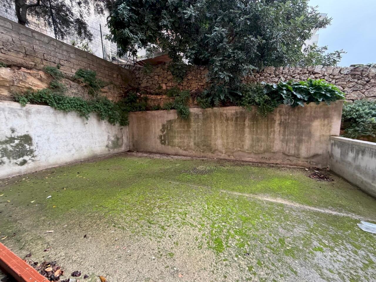 WhatsApp Image 2026-01-02 at 10.37.37 (1).jpeg - Locale Commerciale Via Sacro sacro cuore, Modica - foto 2