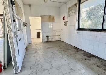 WhatsApp Image 2026-01-02 at 11.29.01(2).jpeg - Ristorante Ameglia - foto 4