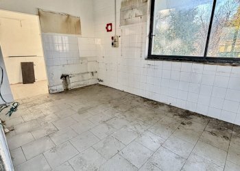 WhatsApp Image 2026-01-02 at 11.29.01(1).jpeg - Ristorante Ameglia - foto 5