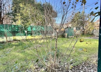 WhatsApp Image 2026-01-02 at 11.29.04(5).jpeg - Ristorante Ameglia - foto 18