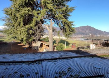 Stabile - Palazzo Via Roma, 26, Martiniana Po - foto 9